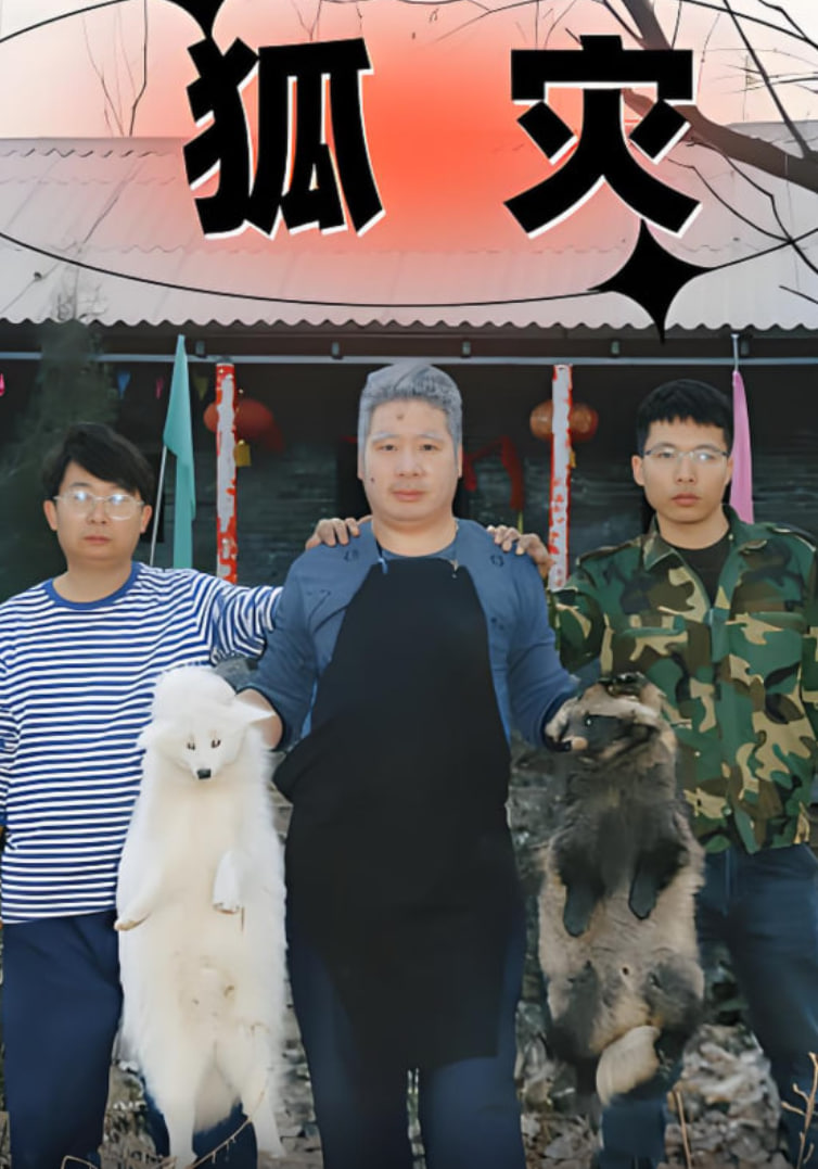 狐灾封面