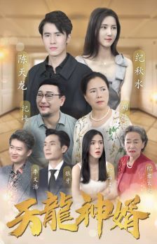 天龙神婿封面