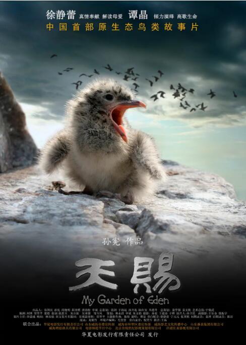 天赐封面