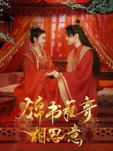 锦书难寄相思意封面
