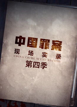罪案现场实录 第四季封面