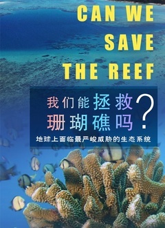 我们能拯救珊瑚礁吗封面