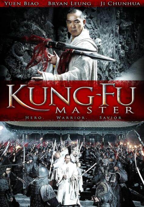 功夫大师2010封面