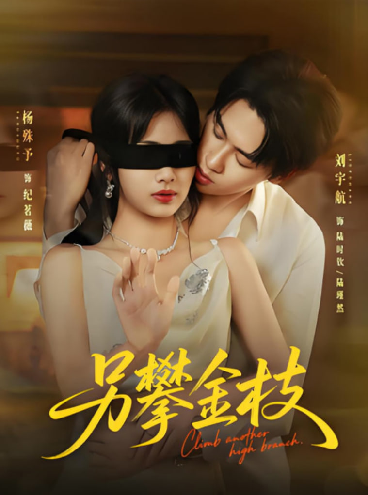 另攀金枝封面