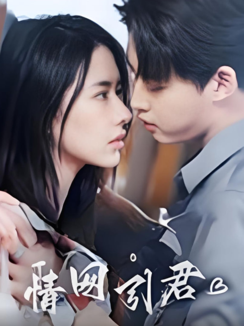 情网引君封面