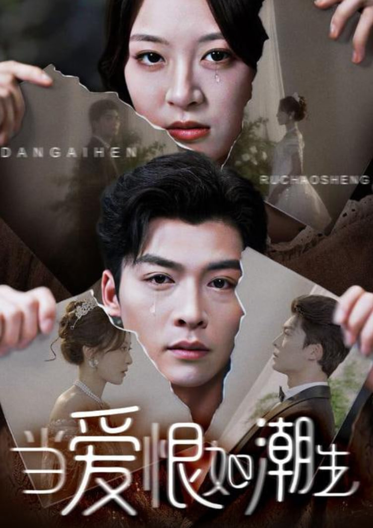 当爱恨如潮生封面