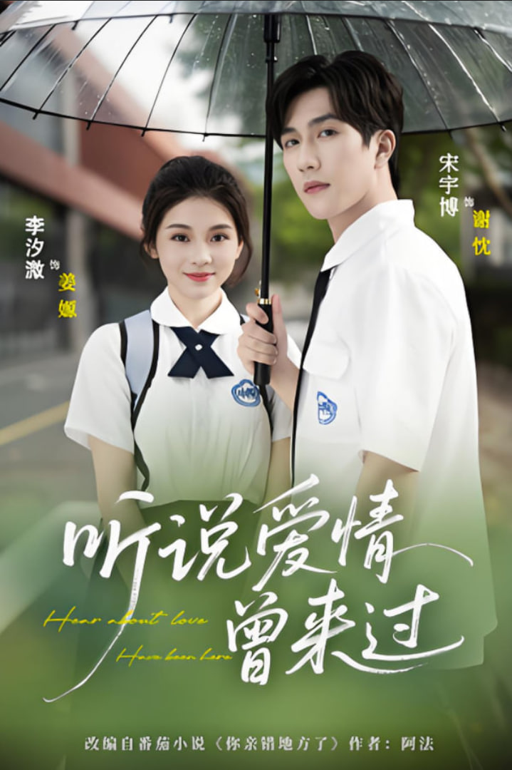听说爱情曾来过封面