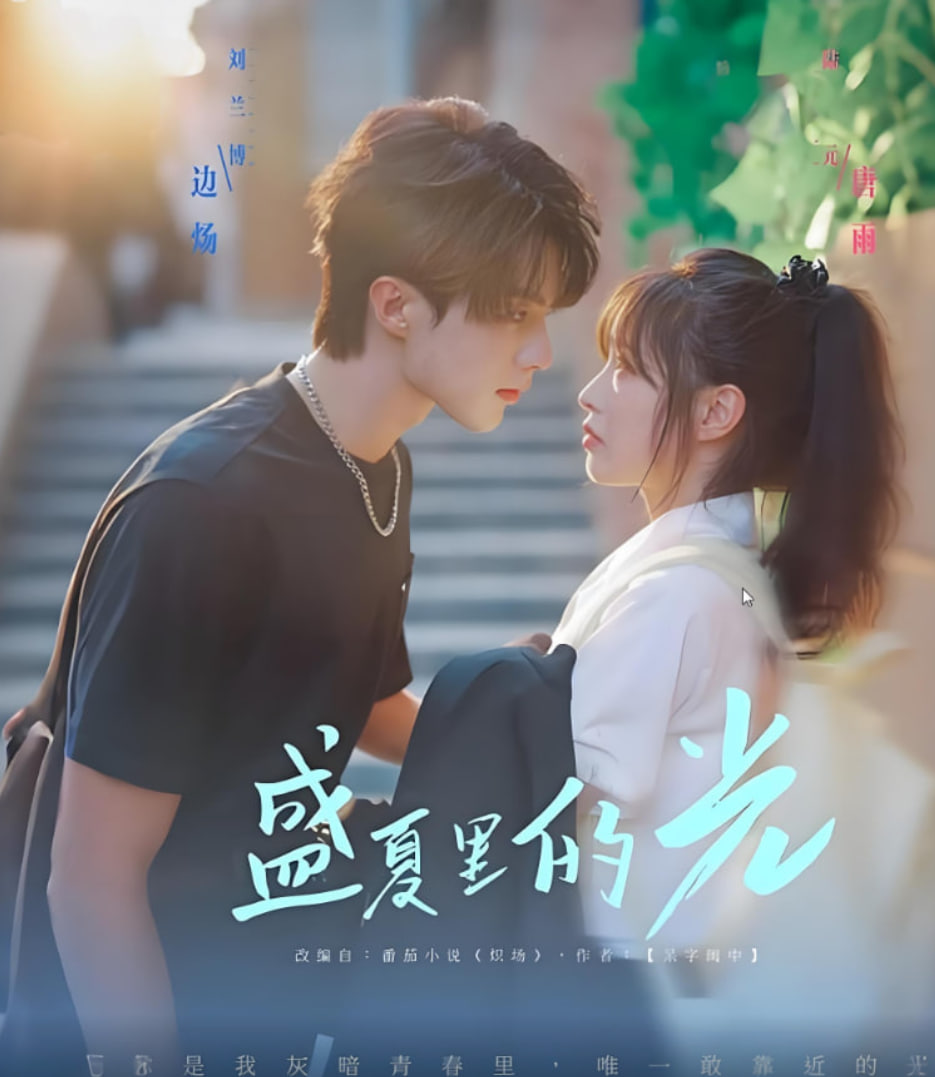 盛夏里的光封面