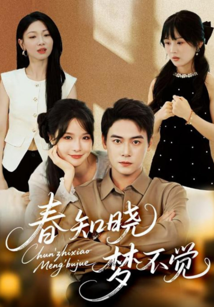 春知晓梦不觉封面