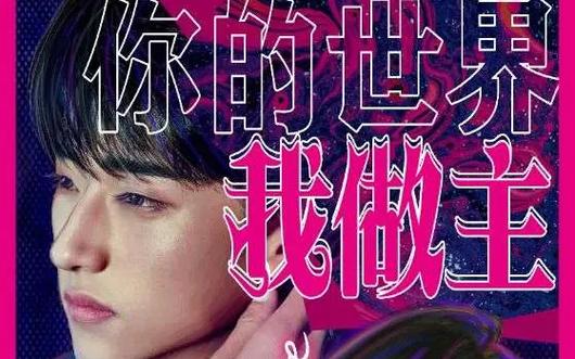 你的世界我做主封面