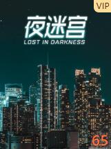 夜迷宫封面