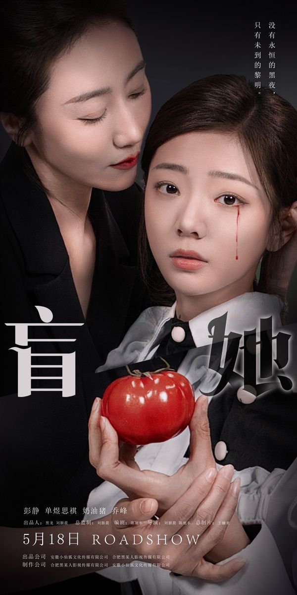 盲她封面