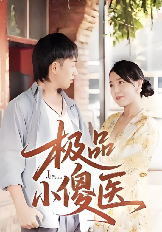 极品小傻医封面