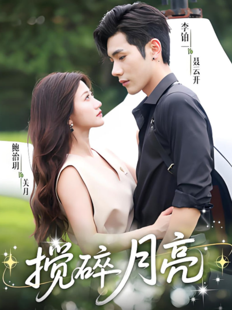 搅碎月亮（仗势欺他）封面