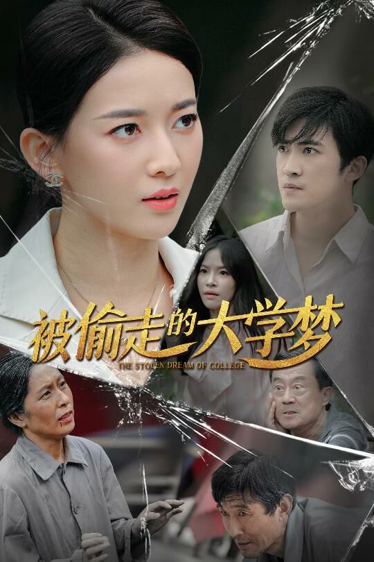 被偷走的大学梦封面