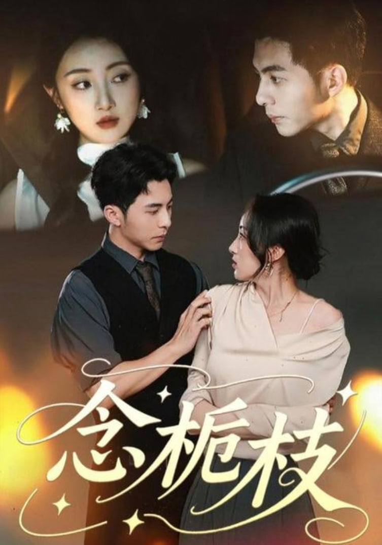 念栀枝封面