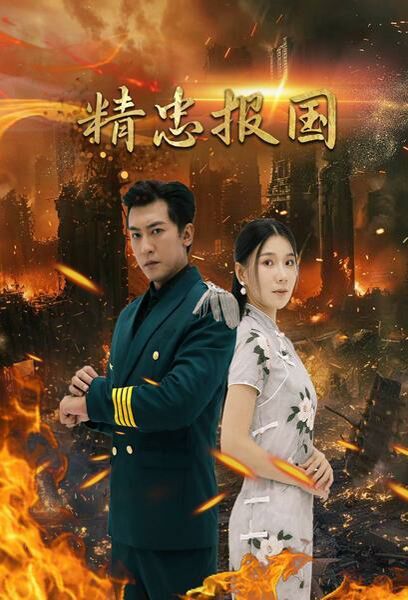 精忠报国封面