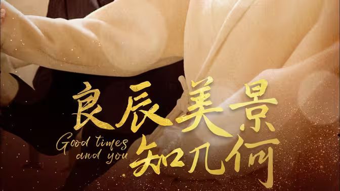 良辰美景知几何封面