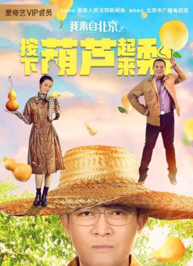 我来自北京之按下葫芦起来梨封面