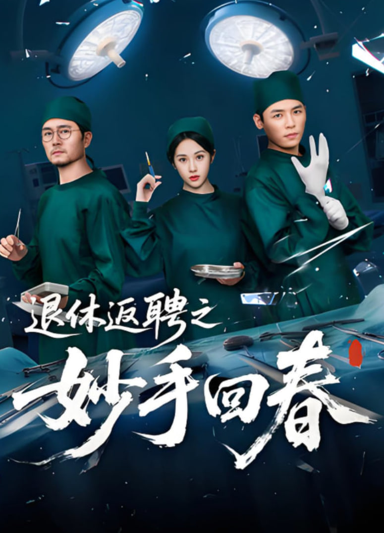 退休返聘之妙手回春封面