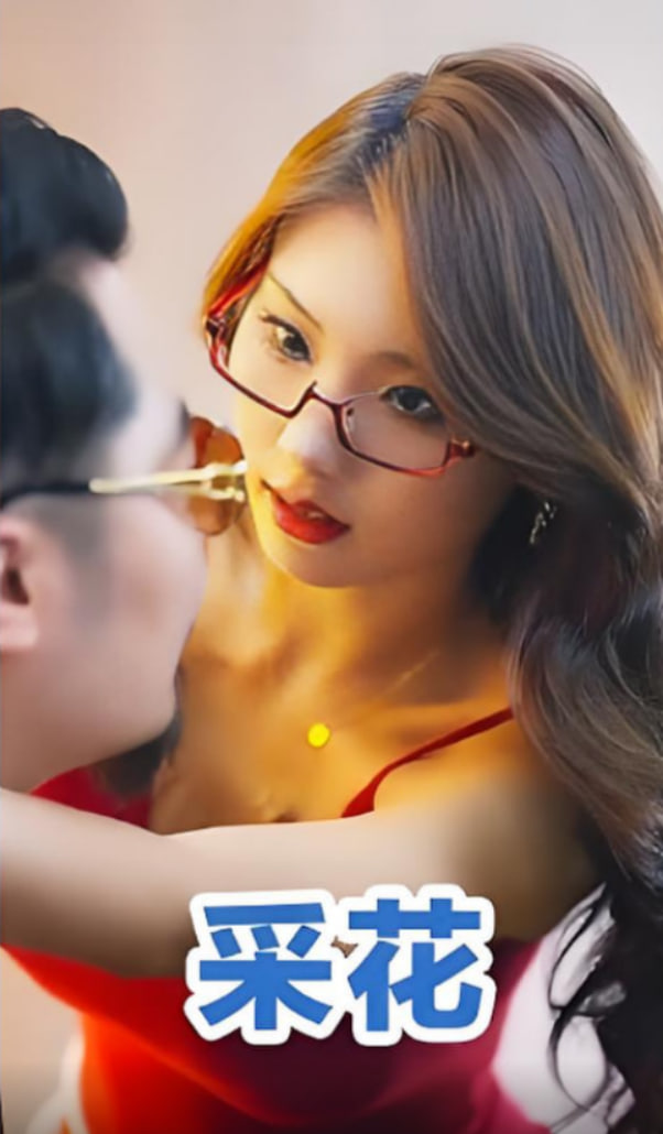 采花封面