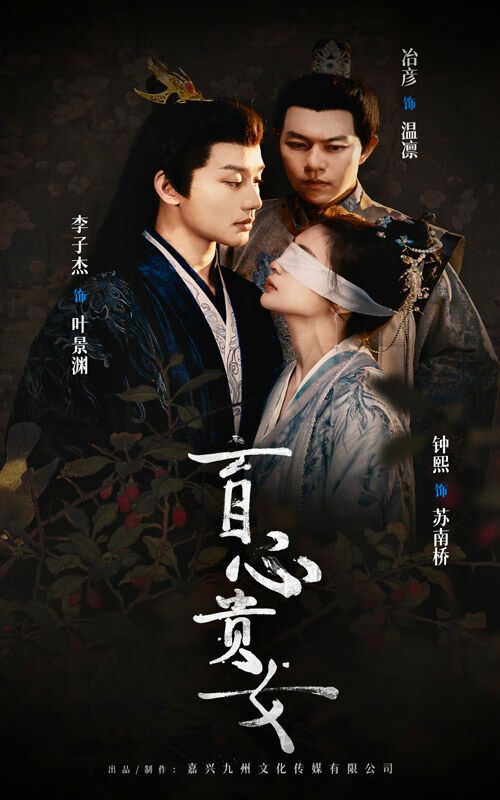 盲心贵女封面