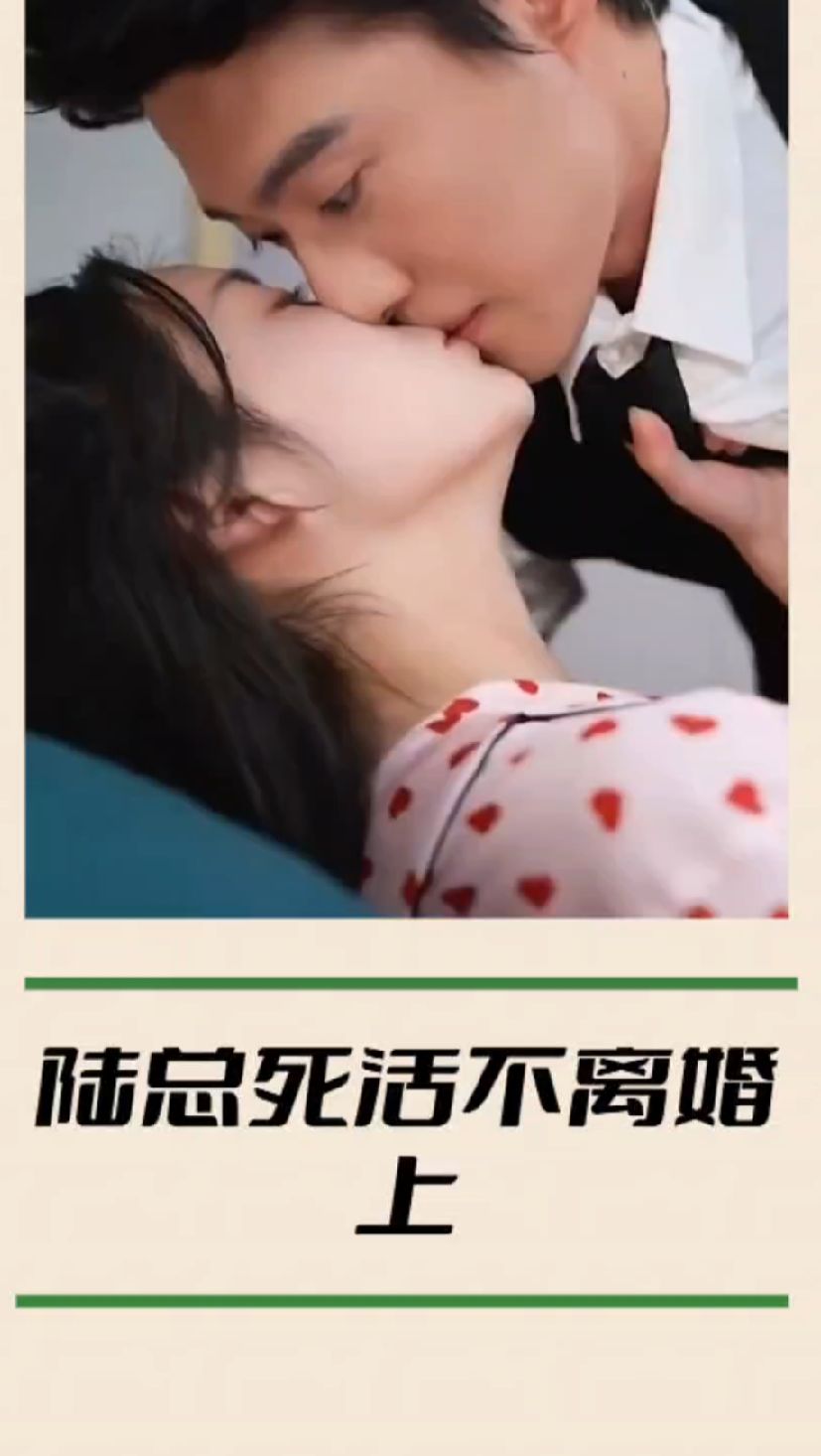 陆总死活不离婚封面