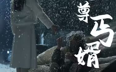 至尊丐婿封面