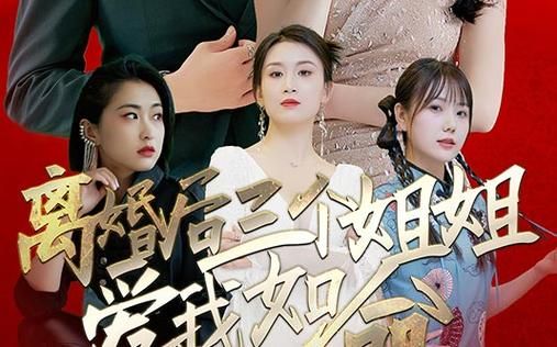 离婚后三个姐姐爱我如命封面