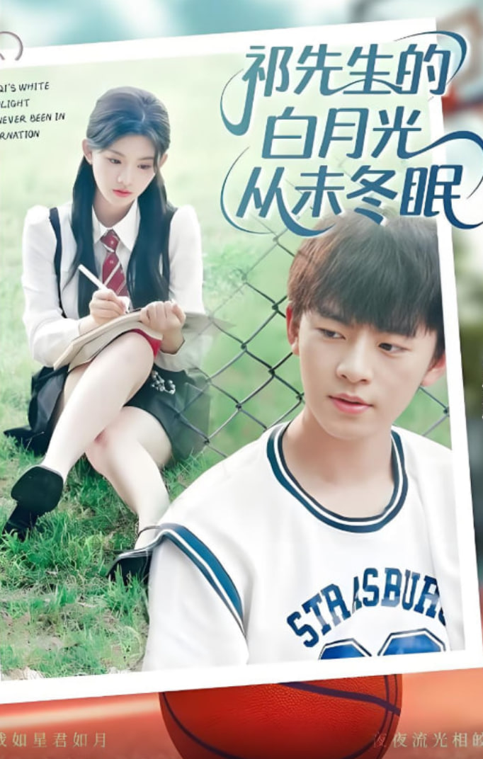 祁先生的白月光从未冬眠封面