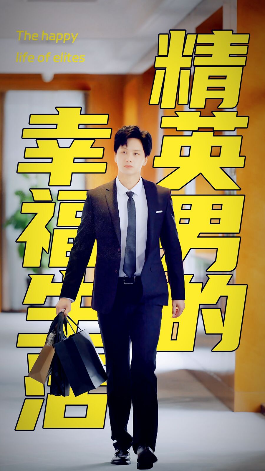 精英男的幸福生活封面