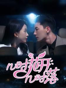 几时花开几时落封面