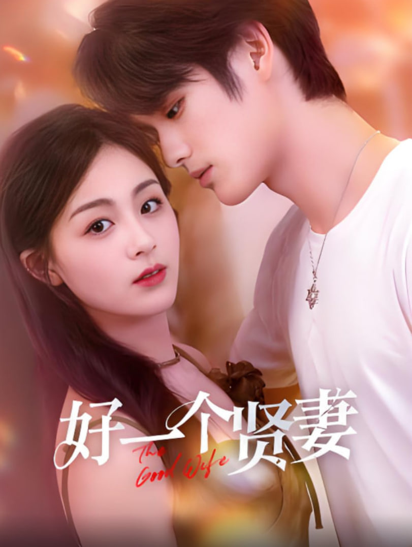 好一个贤妻封面