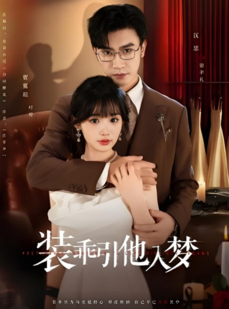 装乖引他入梦封面