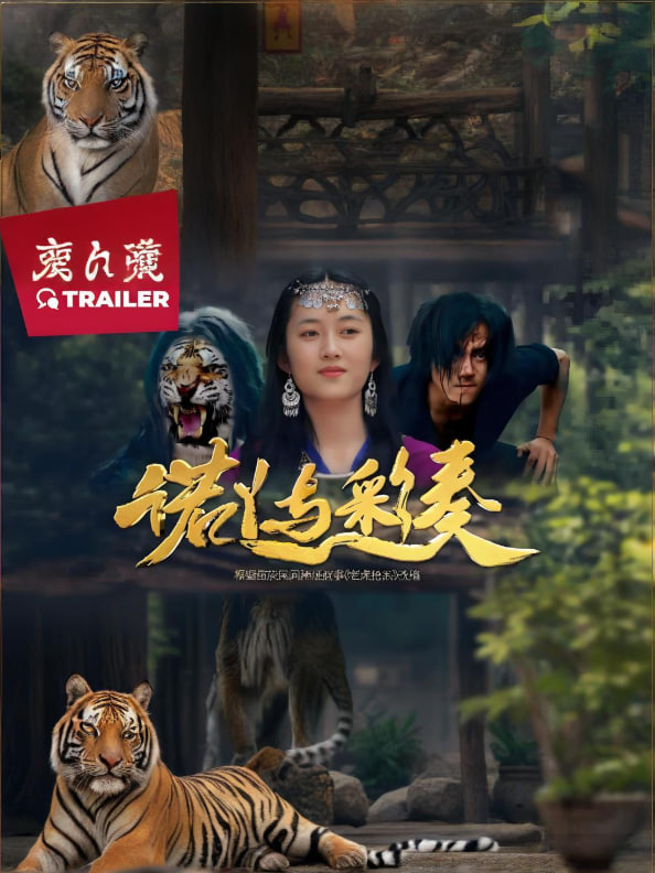 诺丫与彩奏封面