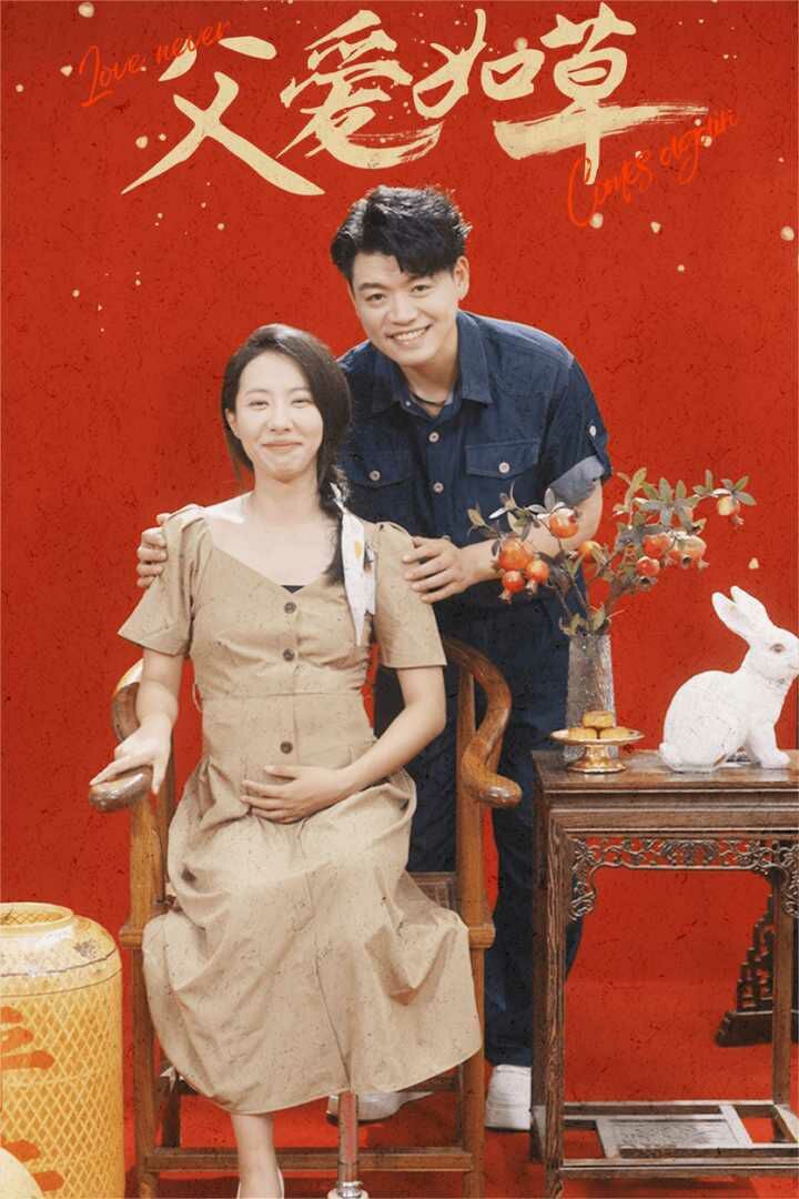 父爱如草封面