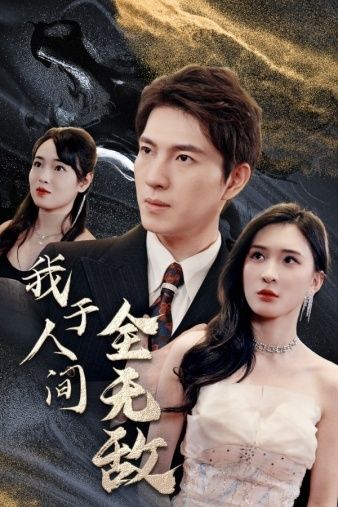 我于人间全无敌封面