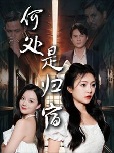 何处是归宿封面