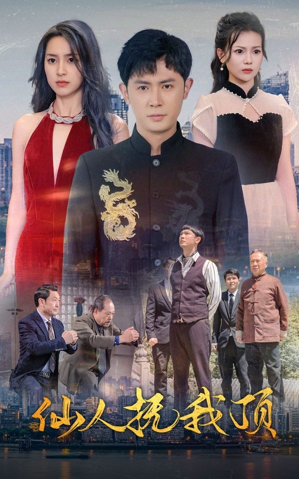 仙人抚我顶封面
