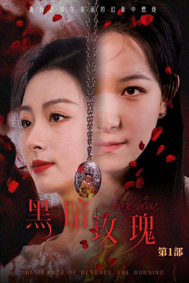 黑暗玫瑰封面