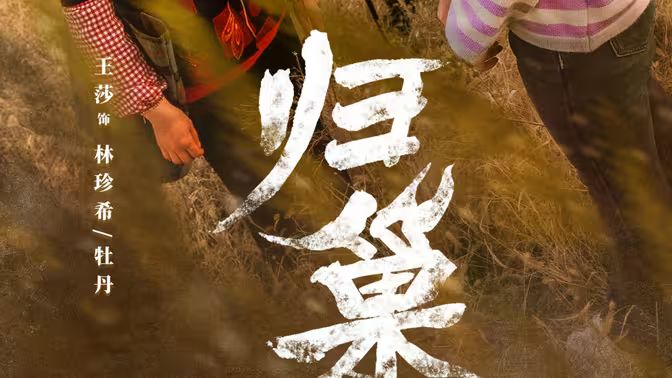 归巢封面