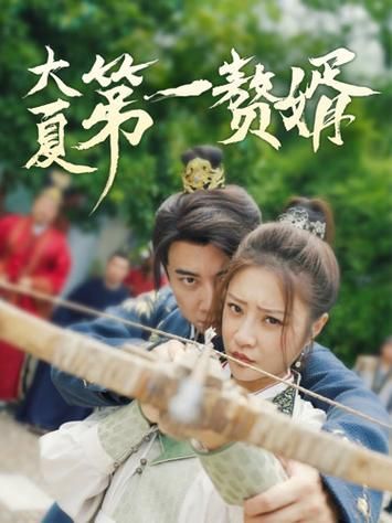 大夏第一赘婿封面