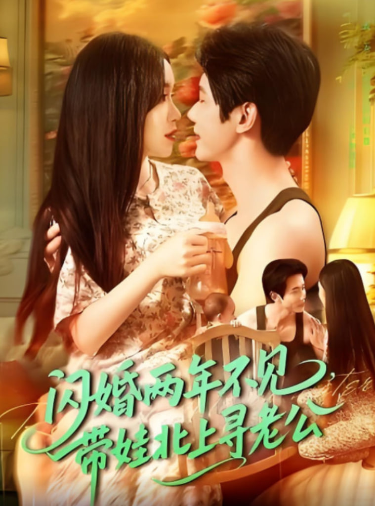 闪婚两年不见带娃北上寻老公封面