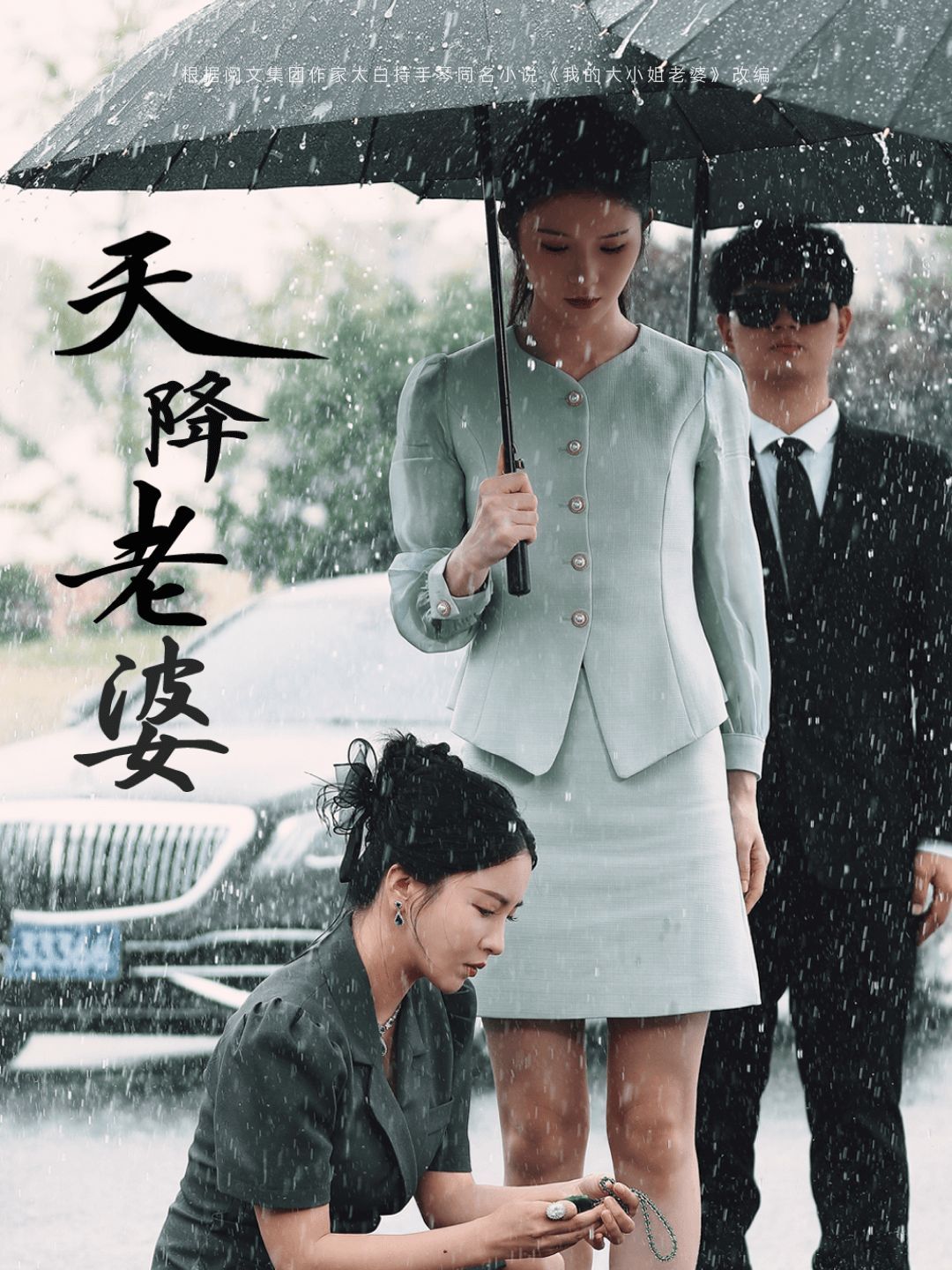 天降老婆封面