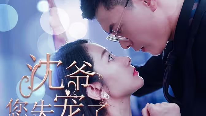 沈爷您失宠了封面