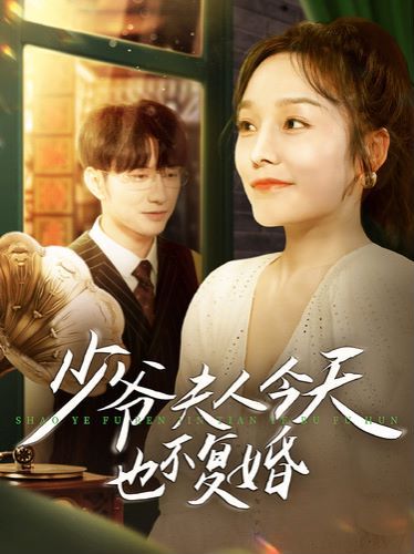少爷夫人今天也不复婚封面