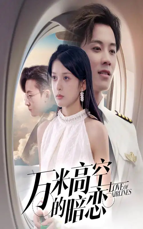 万米高空的暗恋封面