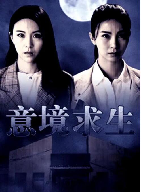 意境求生封面