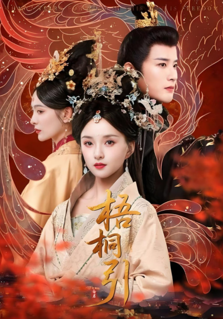 梧桐引封面