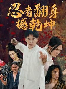忍者翻身撼乾坤封面